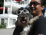 BY THE SEA  Dog Photogallery