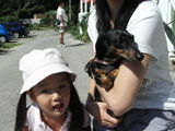 BY THE SEA Dog Photogallery