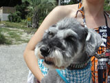 BY THE SEA Dog Photogallery