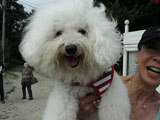 BY THE SEA Dog Photogallery