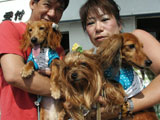 BY THE SEA Dog Photogallery