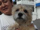 BY THE SEA Dog Photogallery