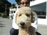 BY THE SEA Dog Photogallery