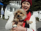 BY THE SEA Dog Photogallery