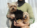 BY THE SEA Dog Photogallery