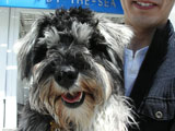 BY THE SEA Dog Photogallery