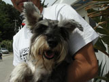 BY THE SEA Dog Photogallery