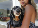 BY THE SEA Dog Photogallery