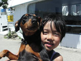 BY THE SEA Dog Photogallery