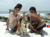 BY THE SEA Dog Photogallery