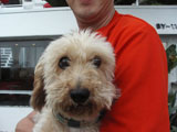 BY THE SEA Dog Photogallery