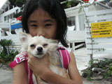 BY THE SEA Dog Photogallery