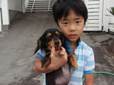 BY THE SEA Dog Photogallery